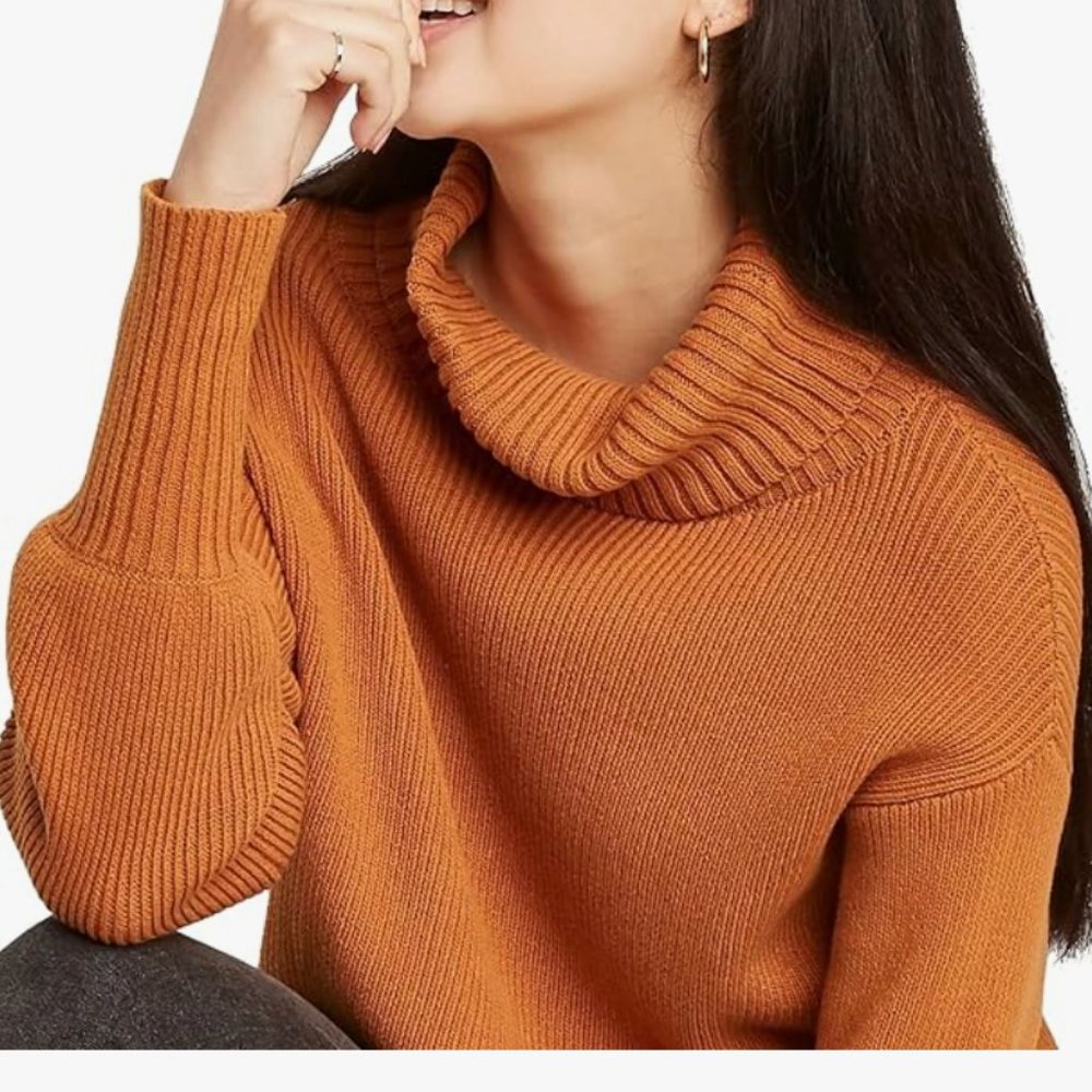 Wild Fable Cowl Neck Sweater